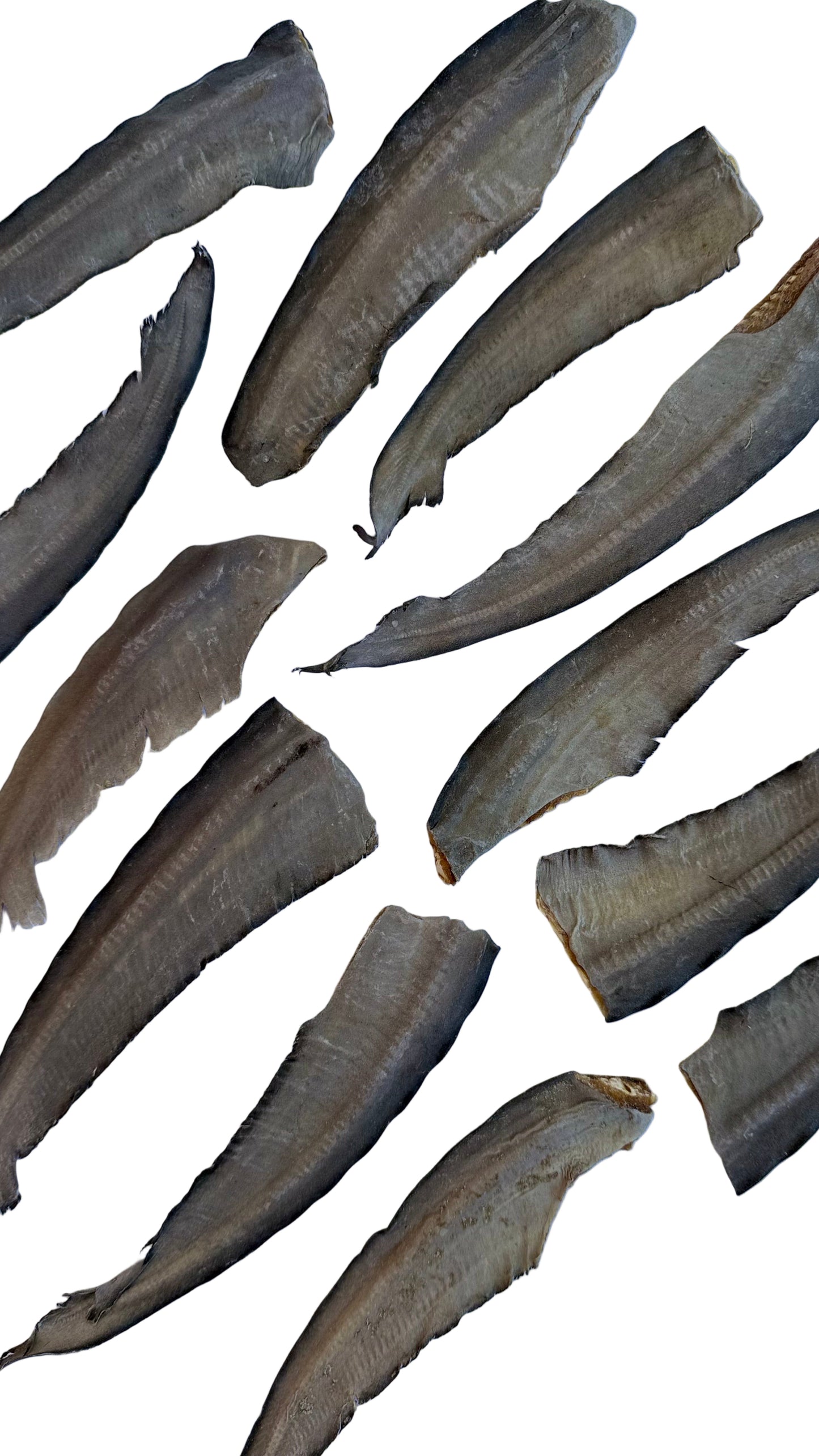 Shark Tail Dog Treat