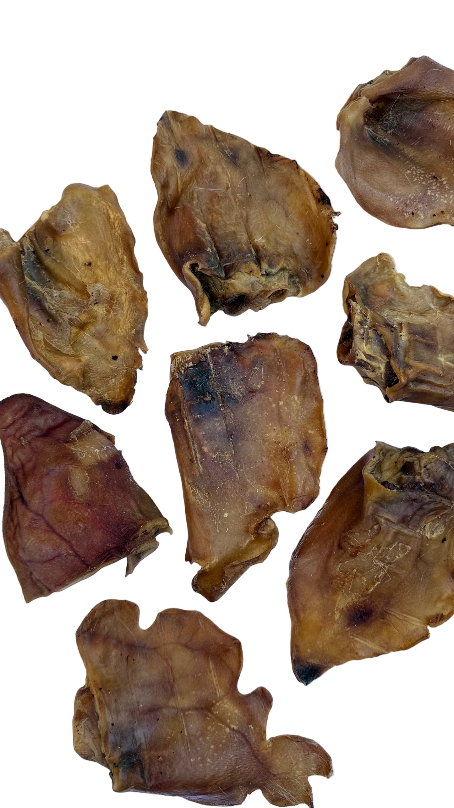 Pigs Ear Dog Treat